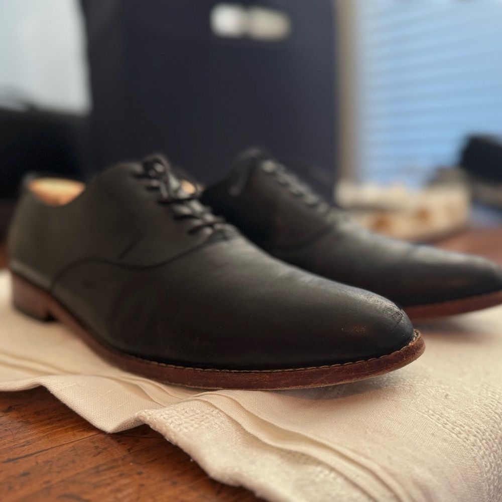 Nisolo Everyday Oxford - 12.5